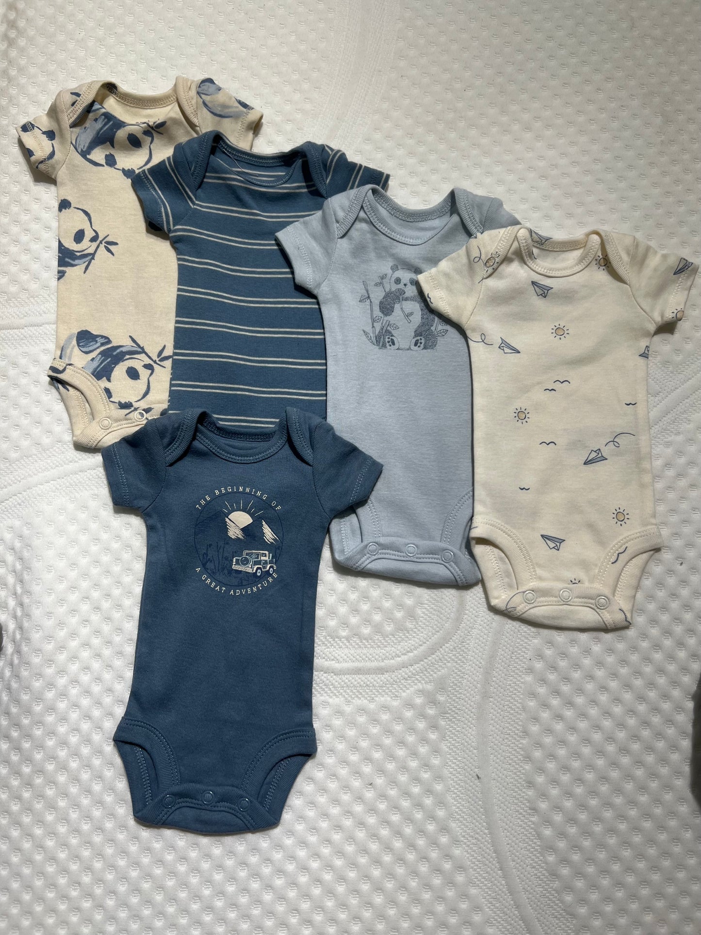 SET BODY 5 EN 1