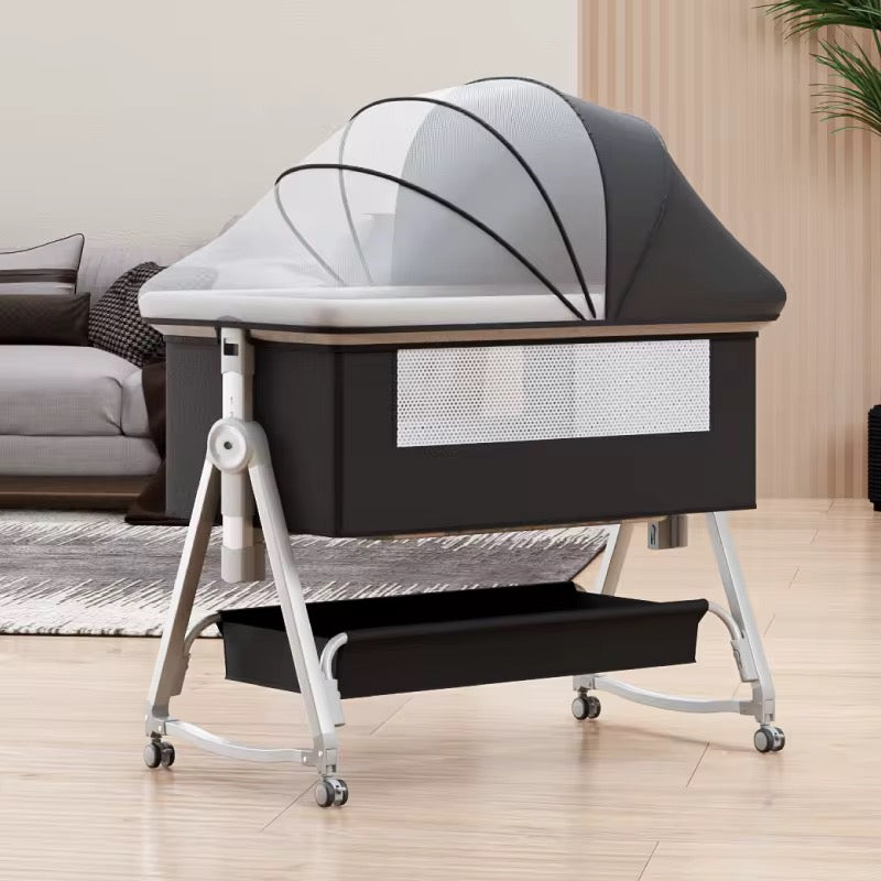 MOISE COLECHO NEW 5995